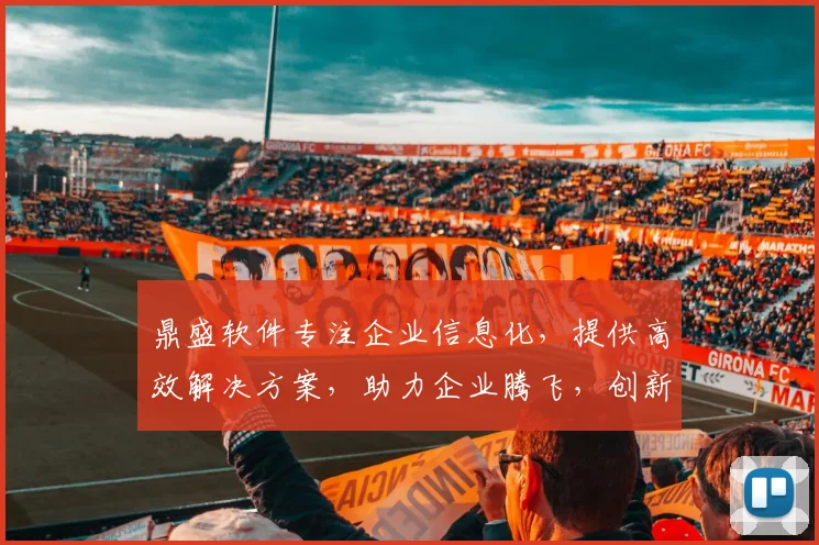 鼎盛软件专注企业信息化，提供高效解决方案，助力企业腾飞，创新管理，优化运营，提升竞争力，三步走