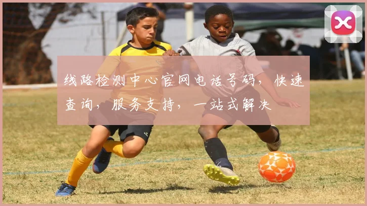 线路检测中心官网电话号码，快速查询，服务支持，一站式解决